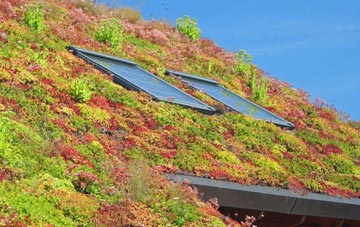 Rawcliffe Bridge living roof systems
